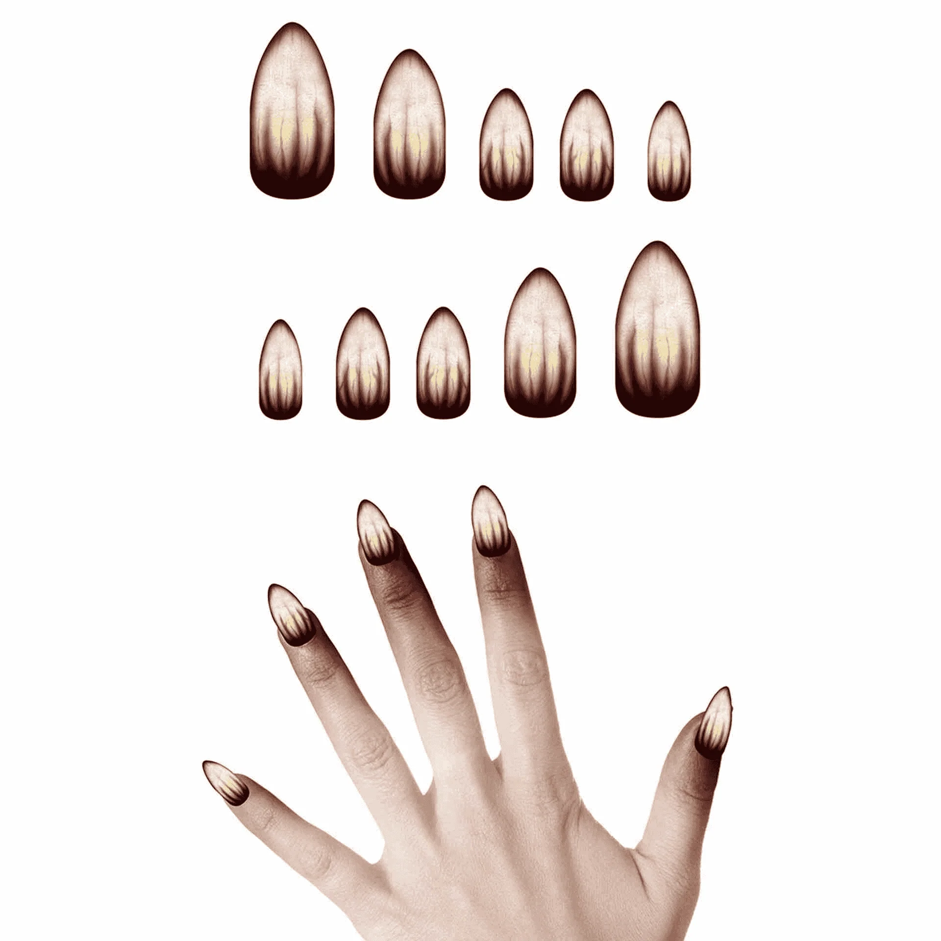 12 Uñas Hombre Lobo con Pegamento