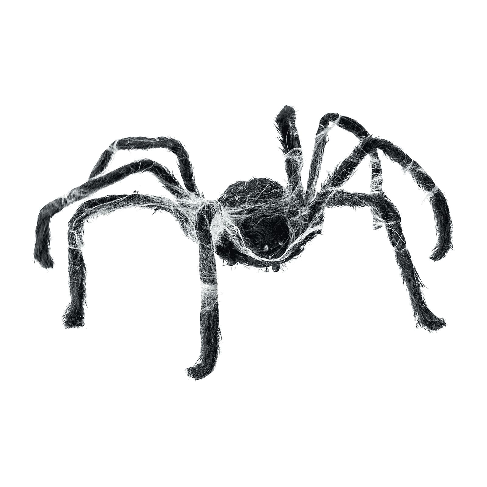 Araña Con telaraña para disfraz