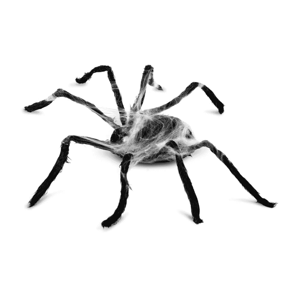 Araña Con telaraña para disfraz - Image 3