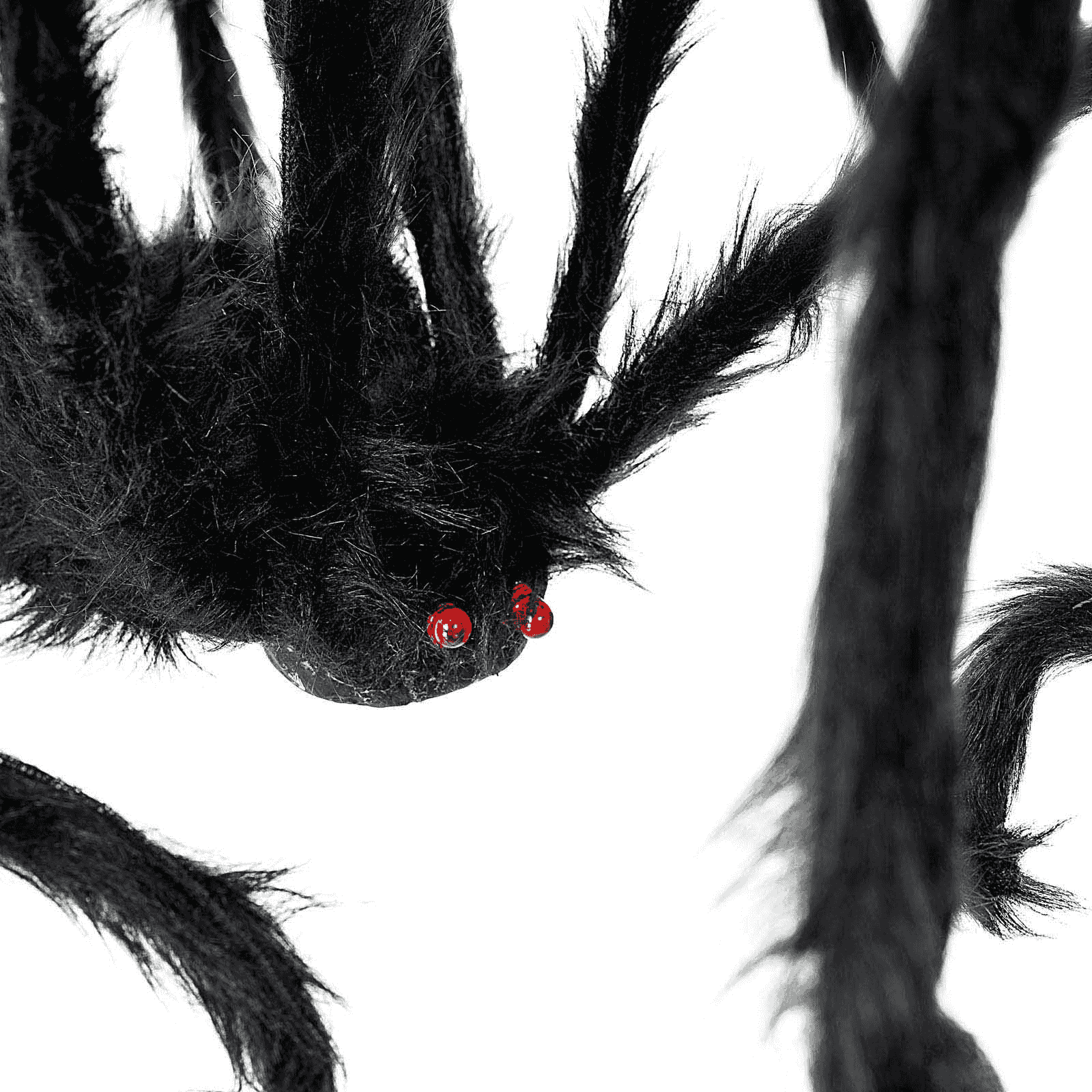 Araña Gigante para disfraz - Image 4