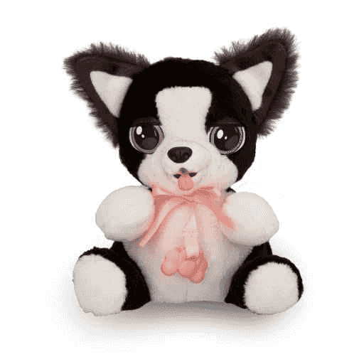 Baby Paws Mini Border Collie - Image 3