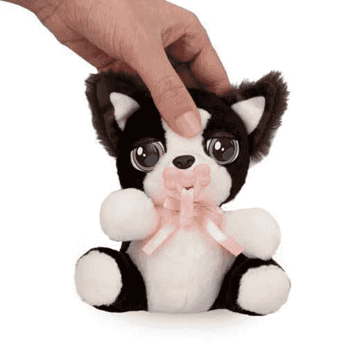 Baby Paws Mini Border Collie - Image 4