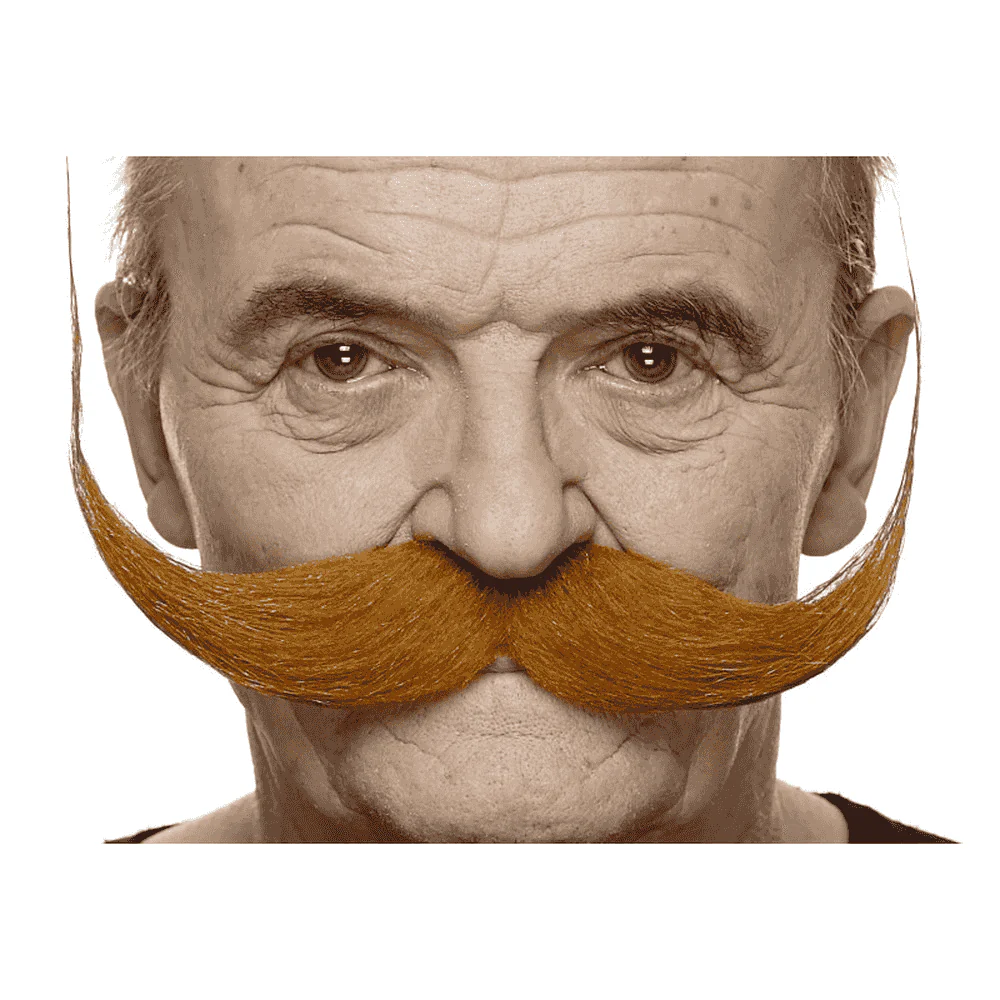 Bigote para disfraz