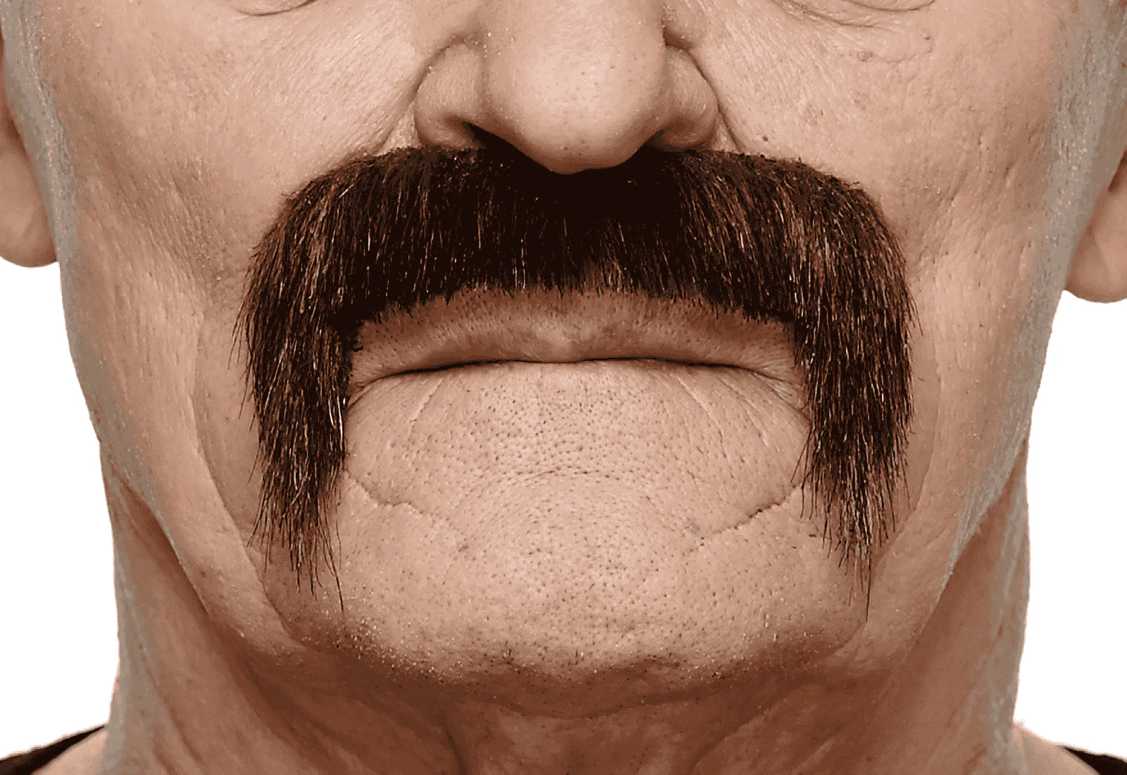 Bigotes para disfraz