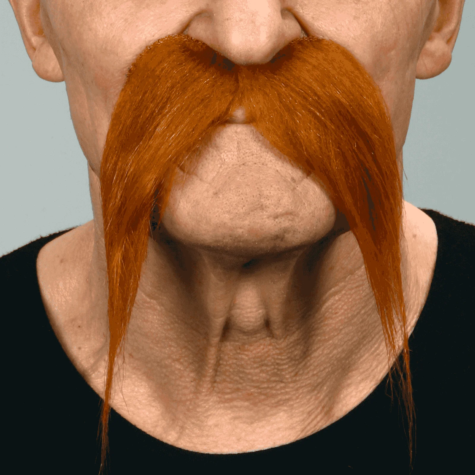 Bigotes para disfraz