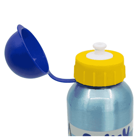 Botella de Aluminio Infantil 530 ml Bluey - Image 5