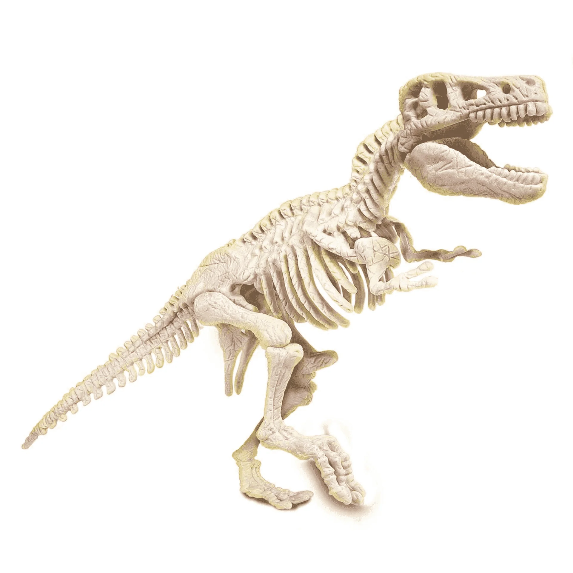 Clementoni Arqueojugando T-Rex fosforescente - Image 4