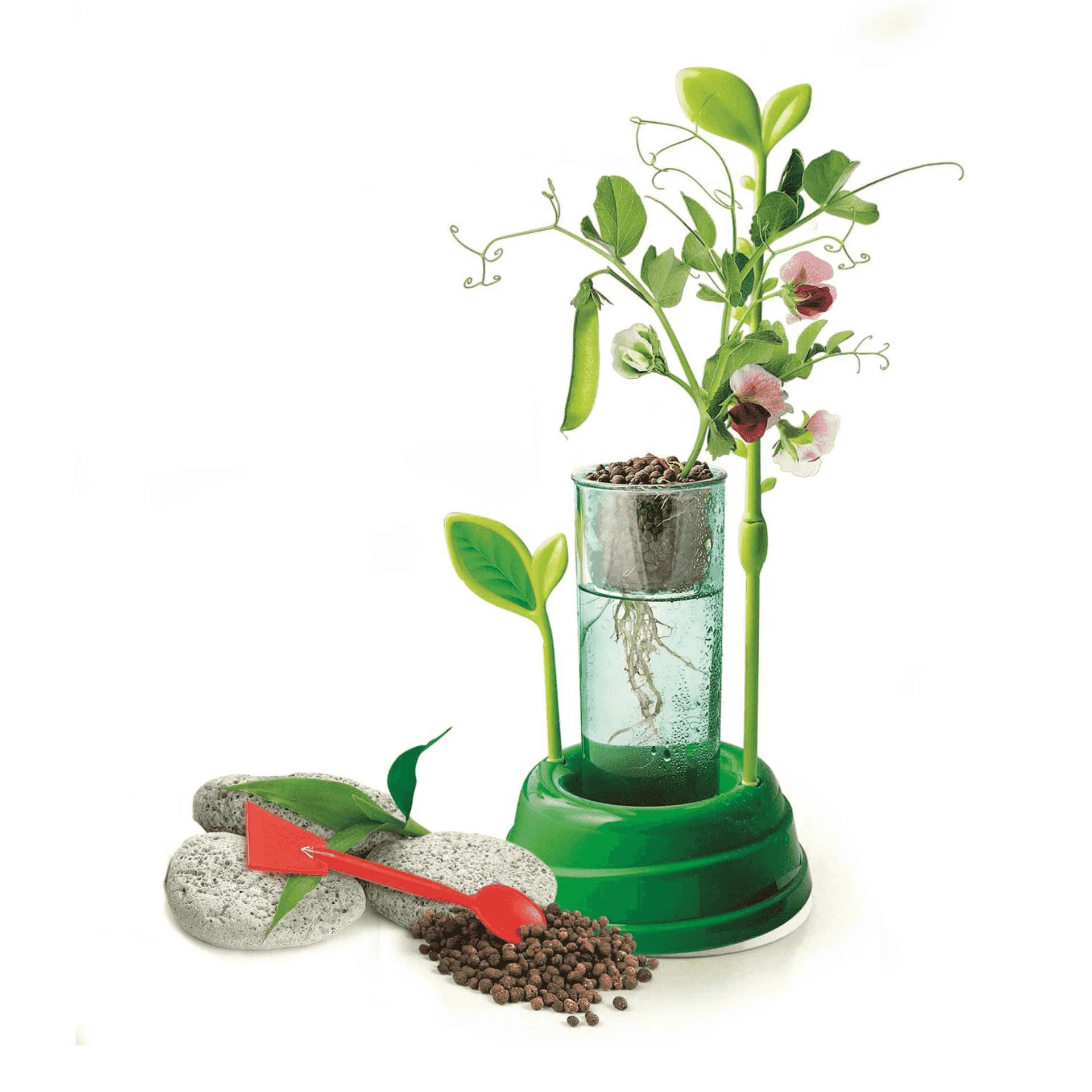 Clementoni Botanica e Hidrocultura - Image 3