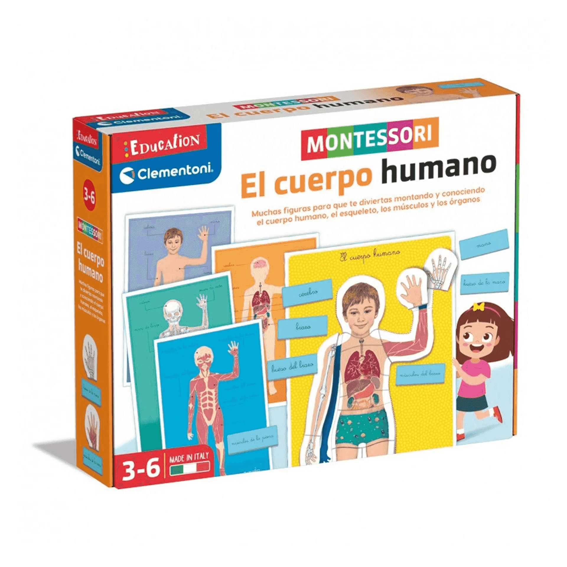 Clementoni Montessori Human Body
