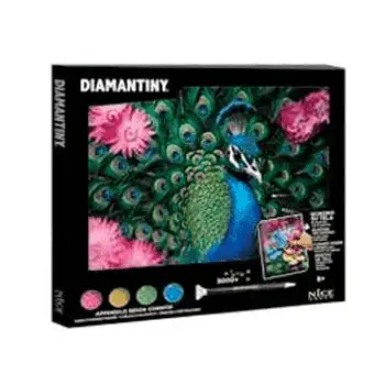 Diario Creativo Nice Quadro Crystal Art - Image 2