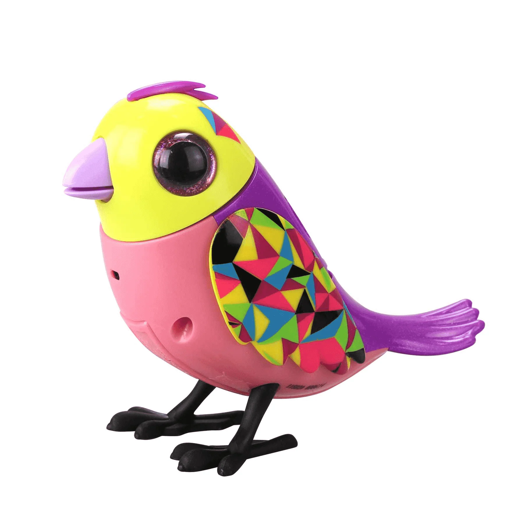 Digibirds Jaula Diferentes Modelos - Image 6