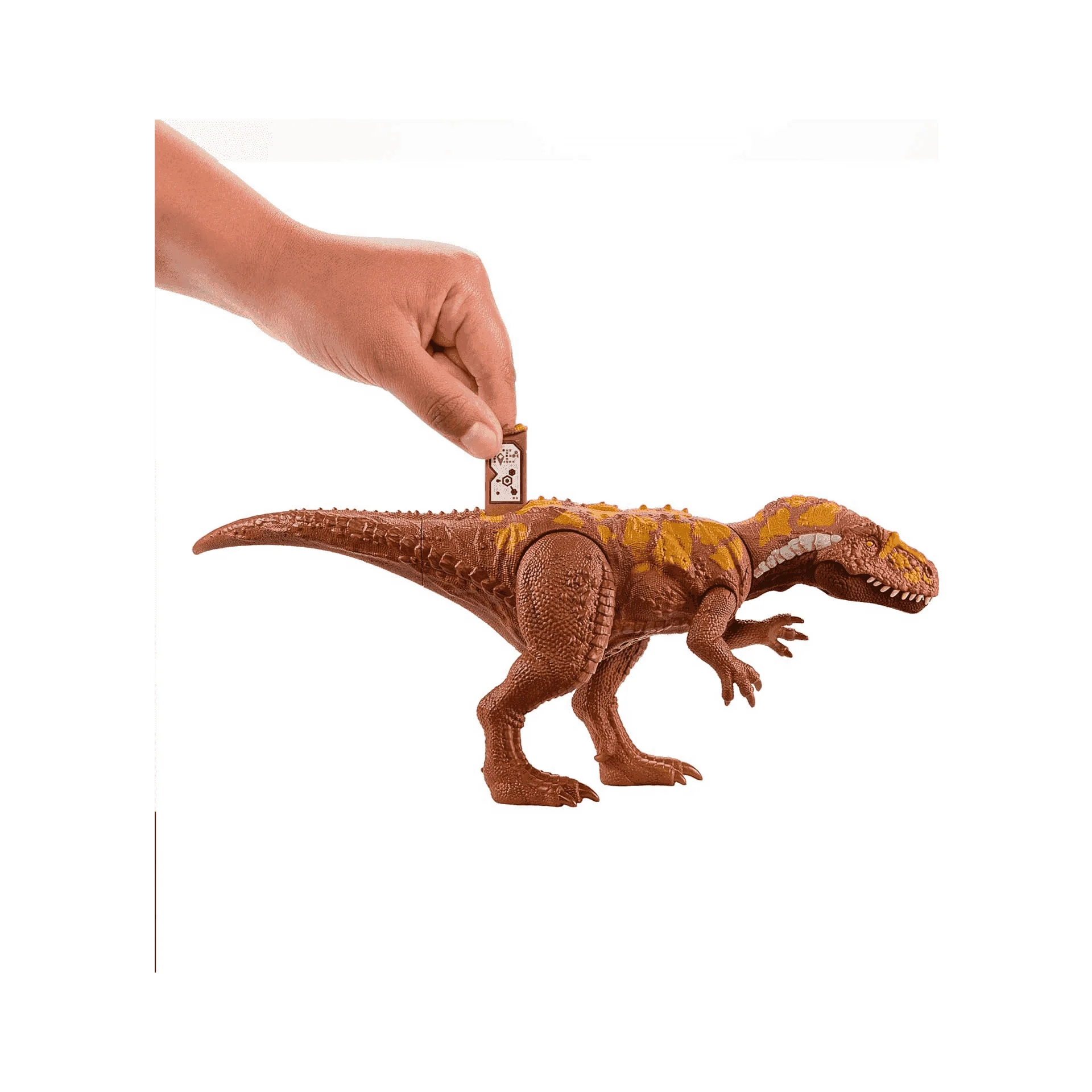 Dinosauro Megalosaurus  Jurassic World Wild Roar - Image 3