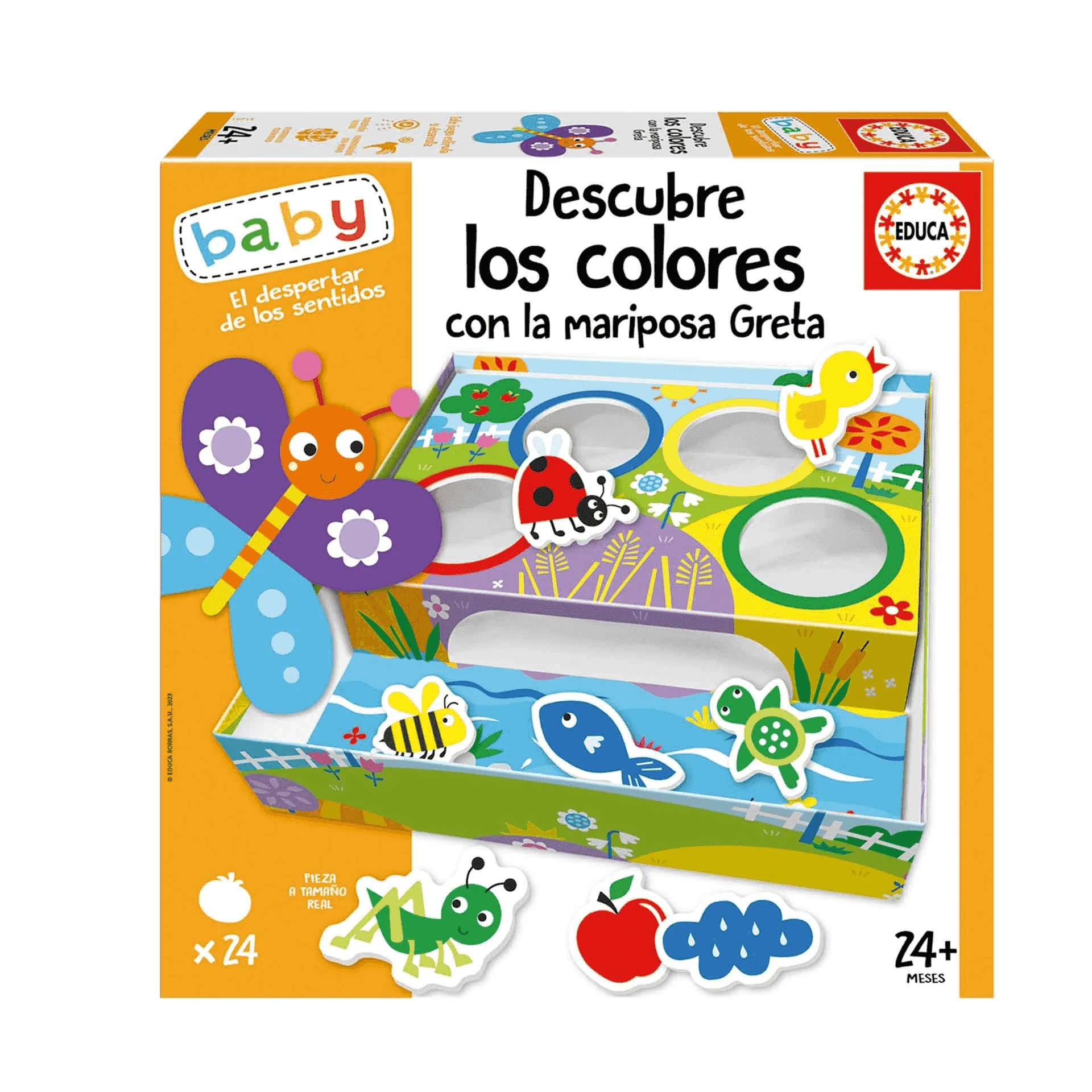 Educa Juguete de Aprendizaje  Descubre Los Colores Con La Mariposa Gre