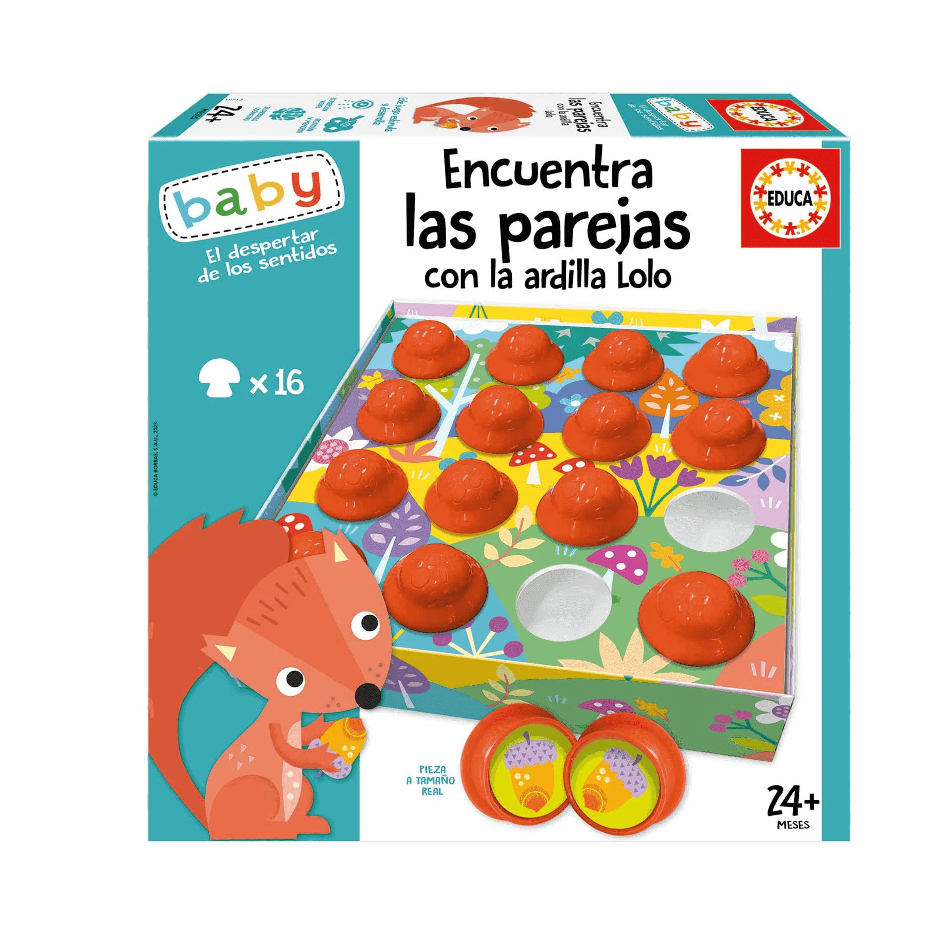 Educa Juguete de Aprendizaje  Encuentra Las Parejas Con La Ardilla Lol