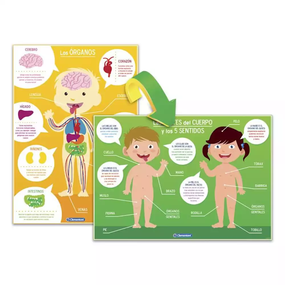 El Cuerpo Humano Clementoni Juego Educativo - Image 2