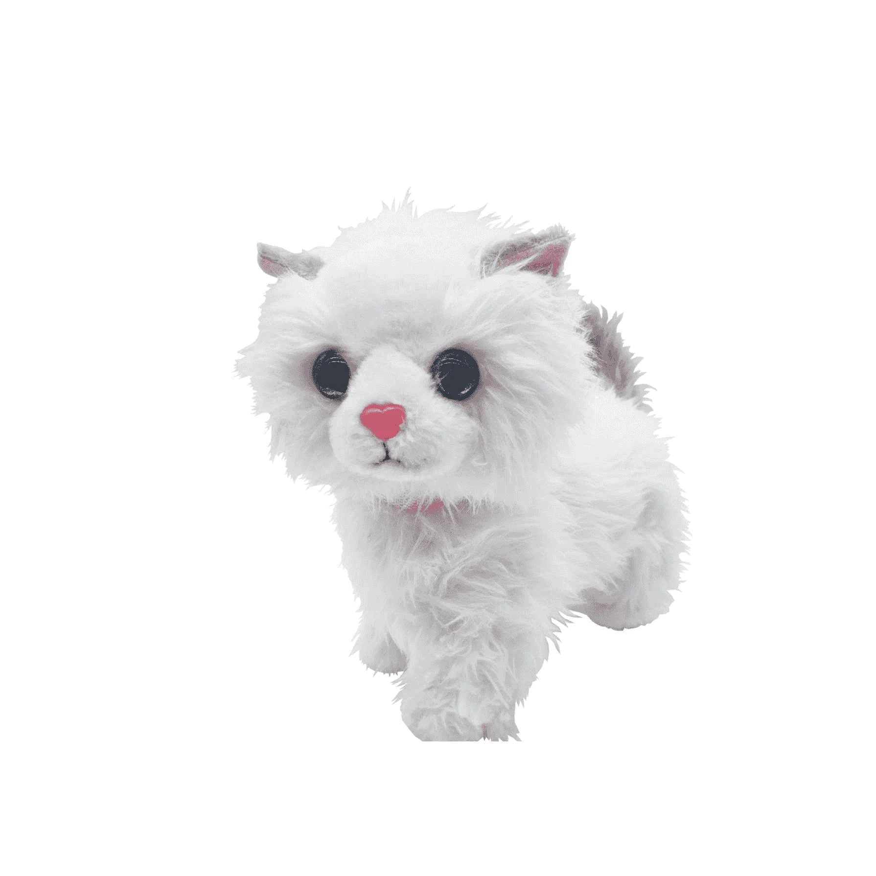 Gatito Paseos Planet Pets