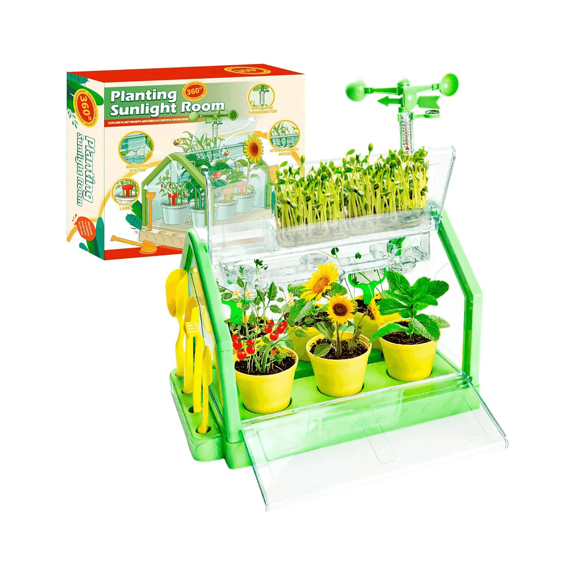 Miniatura 1