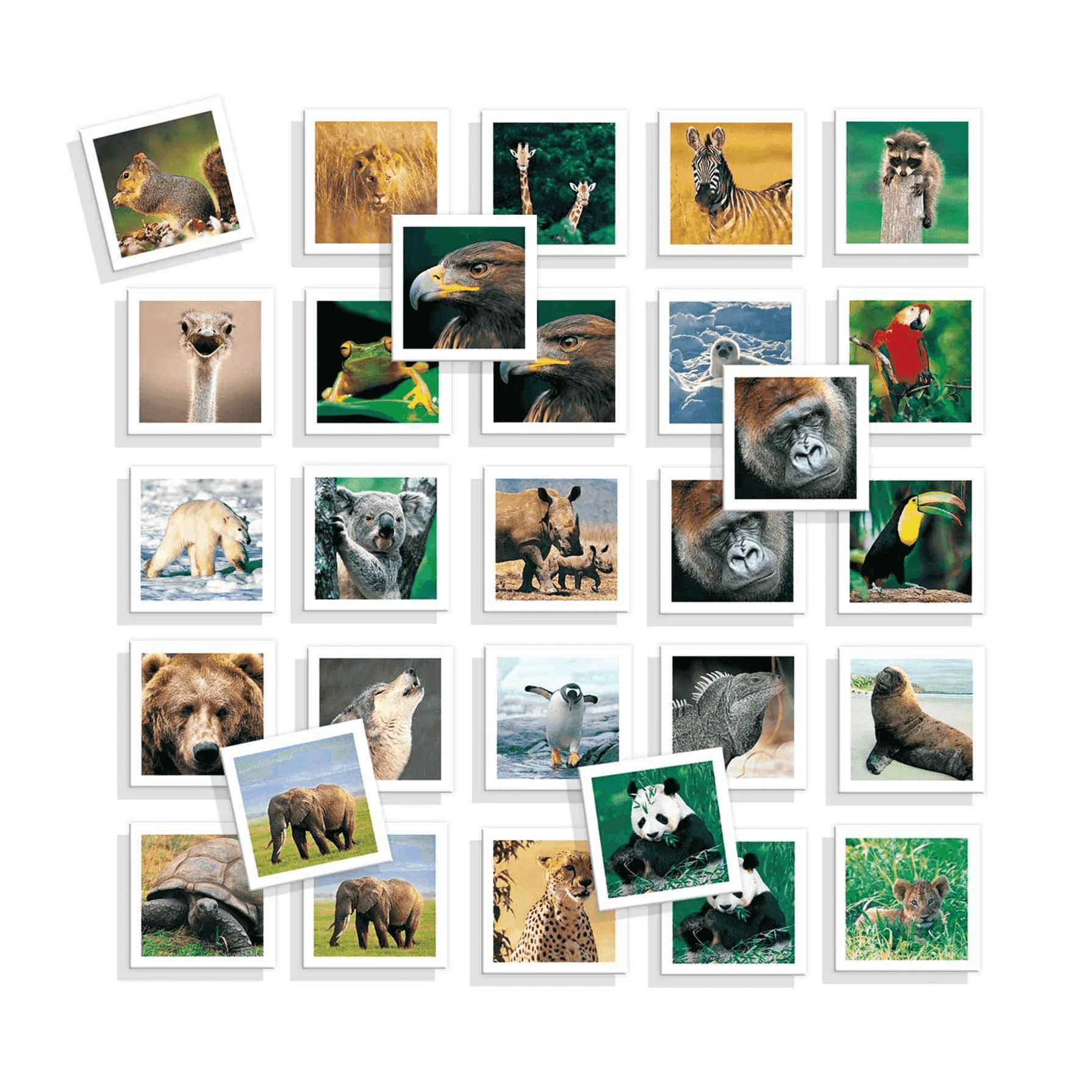 Juego Memoria Meto Photo Animales - Image 2
