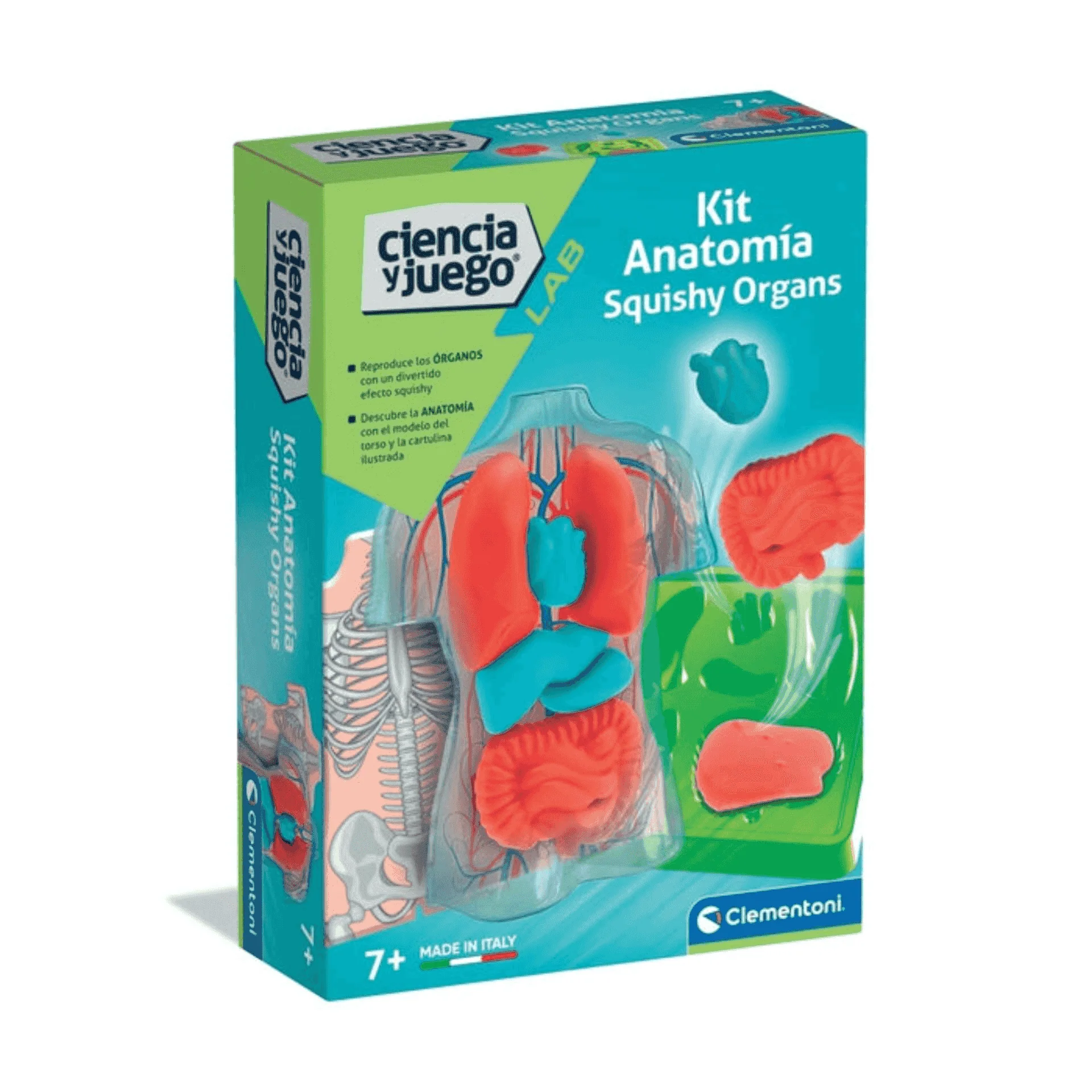 Kit Anatomía Squishy Organs Clementoni | Juego Educativo con Órganos Blanditos | Desde 8 Años