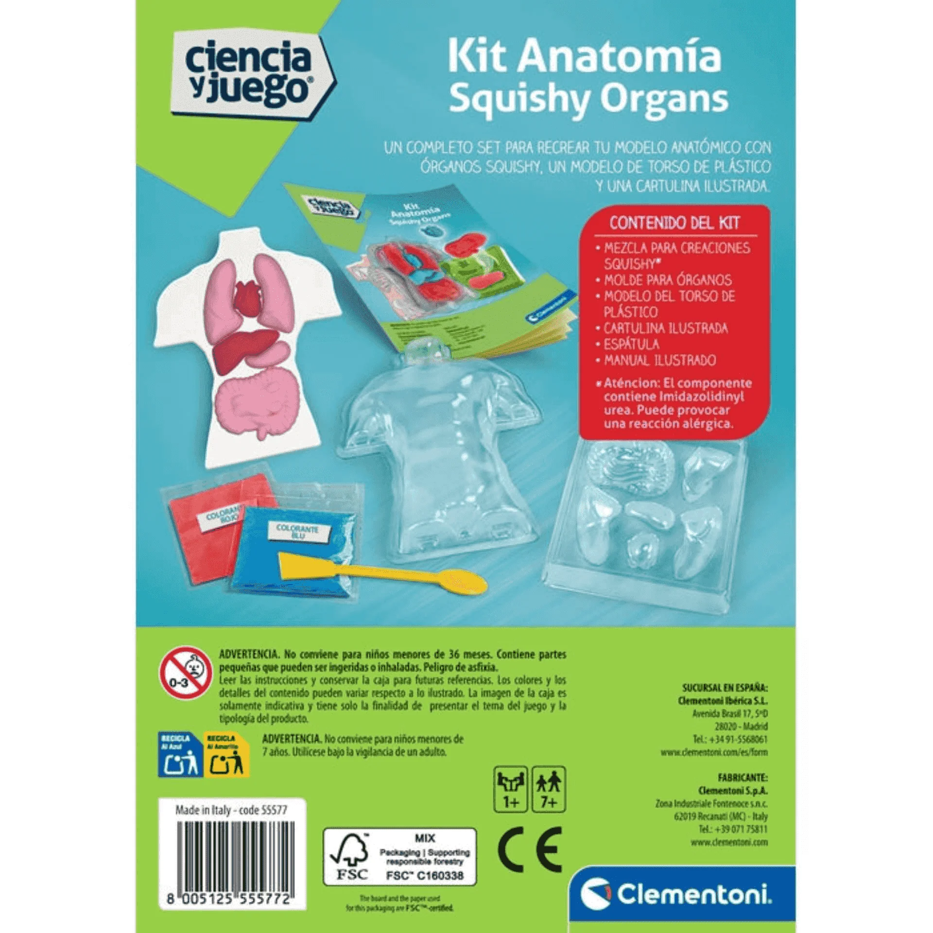 Kit Anatomía Squishy Organs Clementoni | Juego Educativo con Órganos Blanditos | Desde 8 Años - Image 2