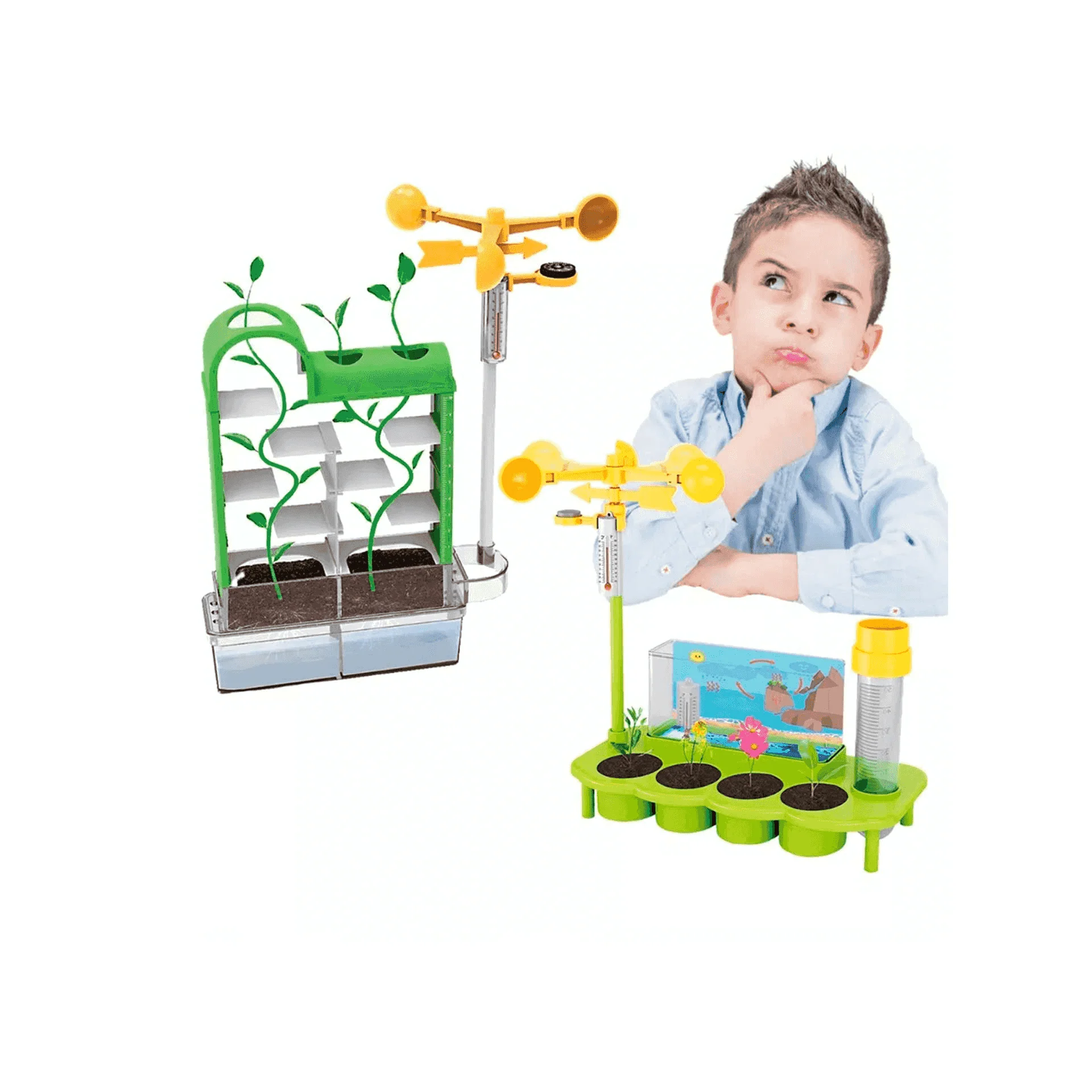 Laberinto de Plantas STEM Cultiva y Descubre el Mundo de la Botánica - Image 3