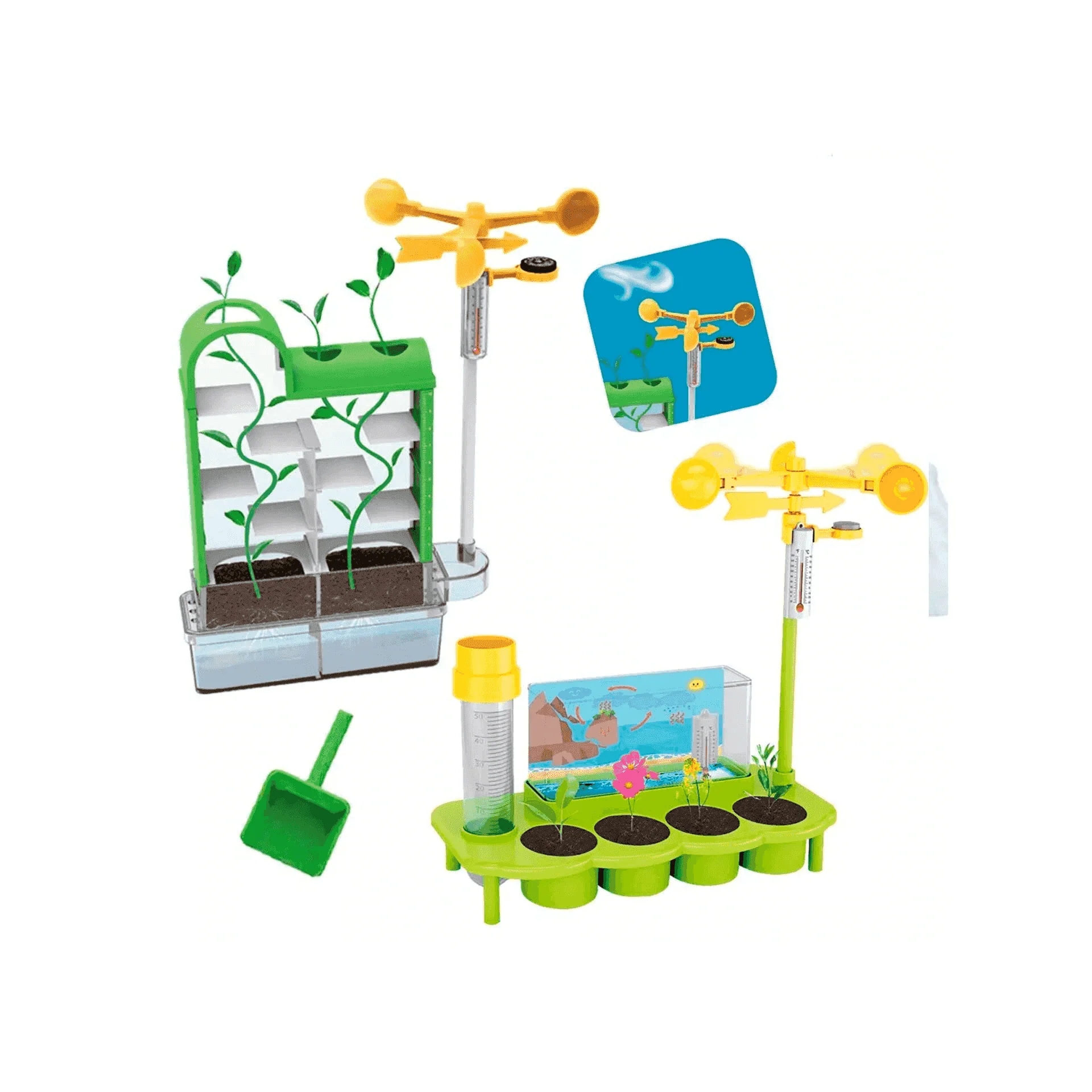 Laberinto de Plantas STEM Cultiva y Descubre el Mundo de la Botánica - Image 4