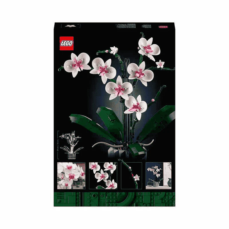LEGO 10311 Orquídeas (608 piezas) Kit de construcción de planta decorativa - Image 3