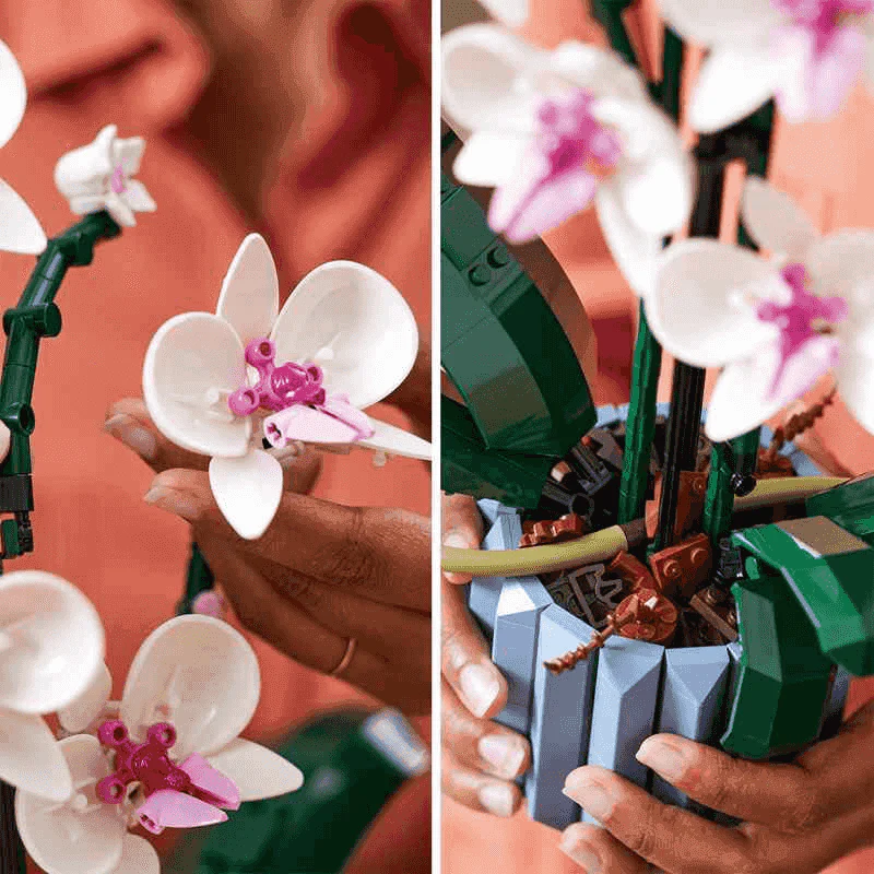 LEGO 10311 Orquídeas (608 piezas) Kit de construcción de planta decorativa - Image 6