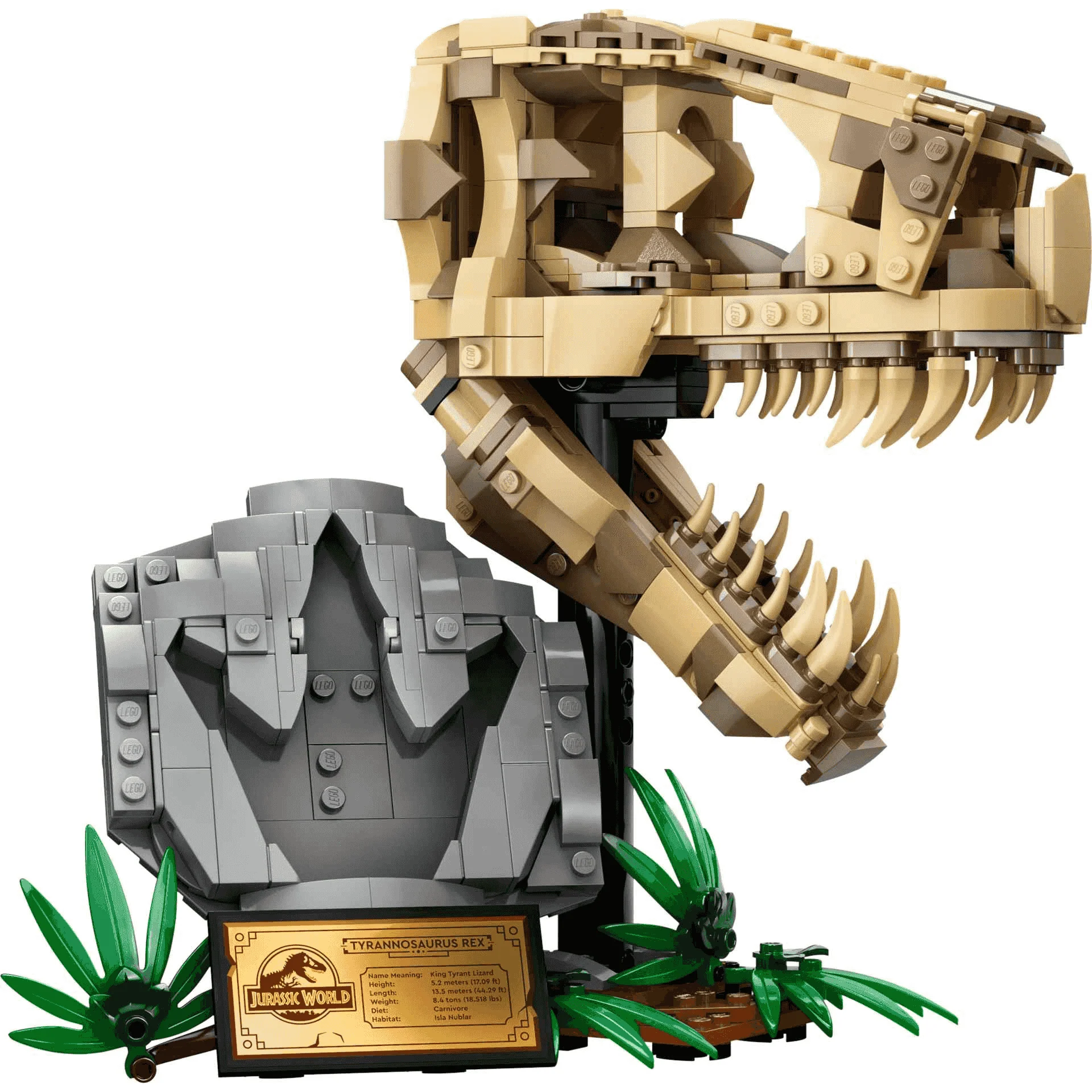 LEGO Jurassic World Fósiles de Dinosaurio: Cráneo de T. rex 76964 - Image 2
