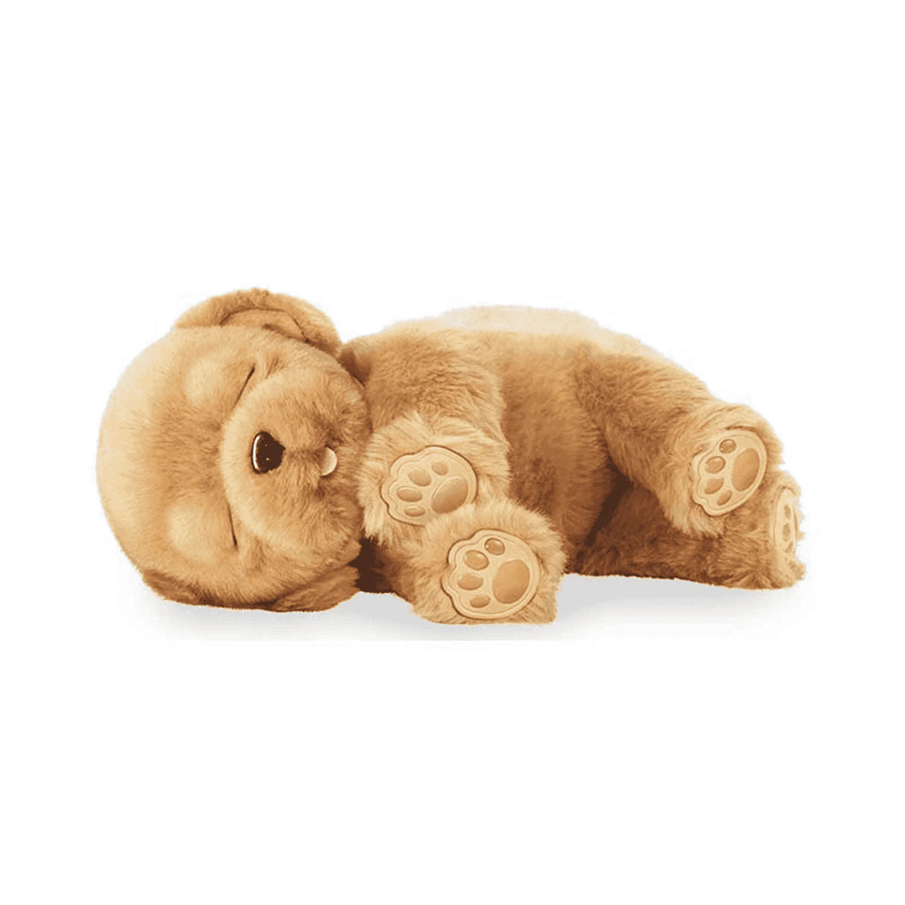 Little Live Pets Sleepy Puppy - Image 3