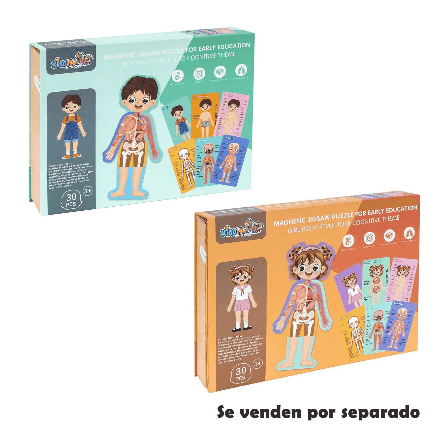 Maletín de Aprendizaje El Cuerpo Humano
