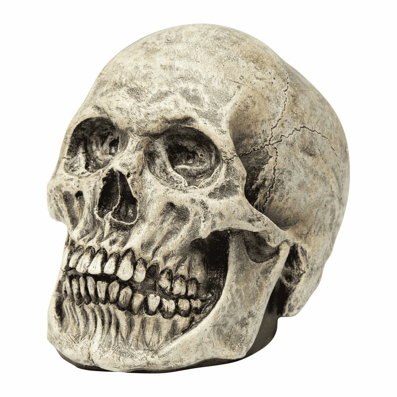 Máscara Calavera humano para disfraz