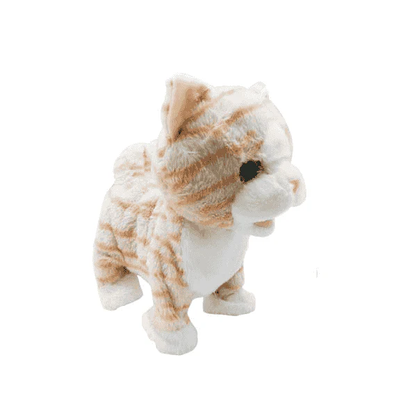 Mascotas Paseos Planet Pets