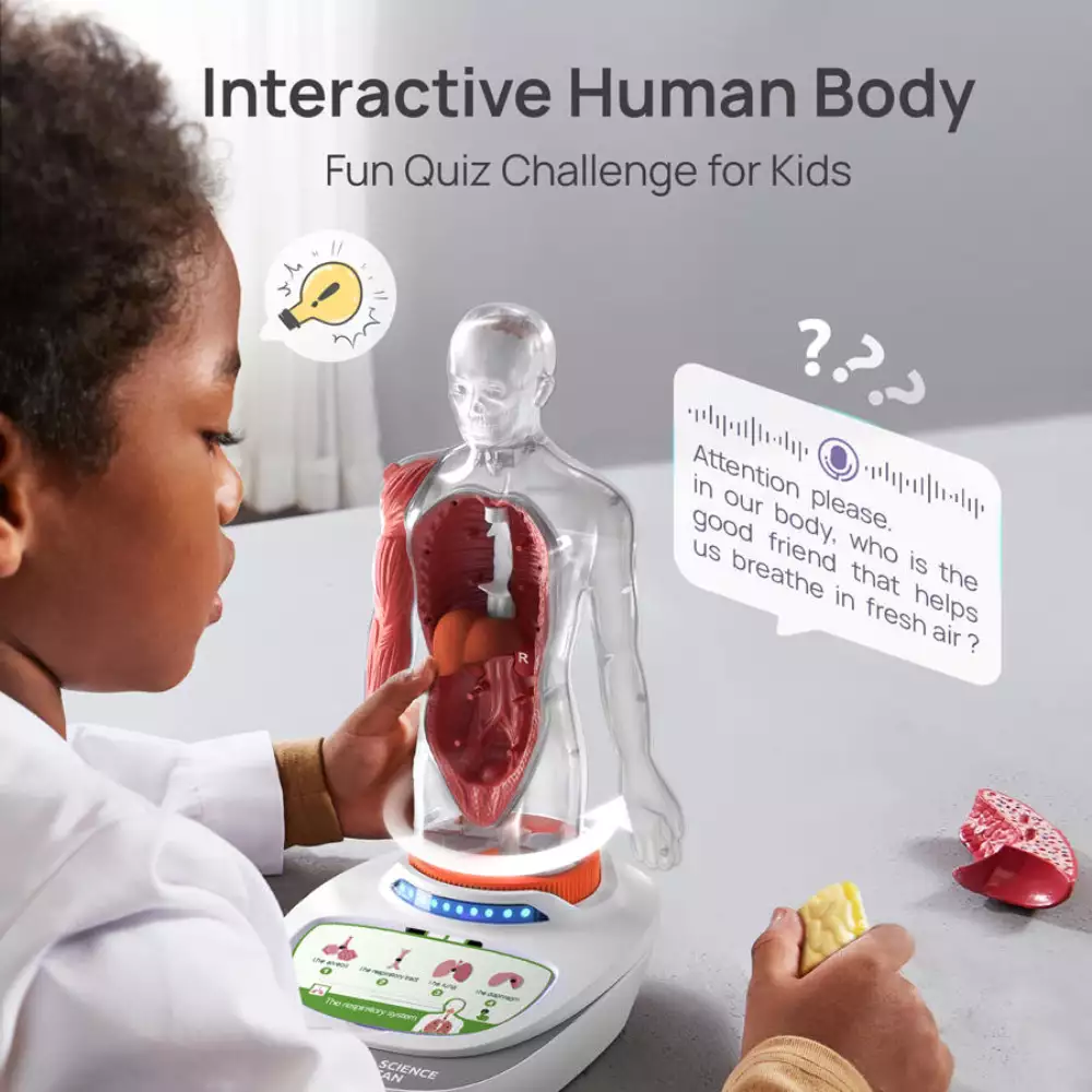 Mi Cuerpo Vozpedia 3D anatómico interactivo - Image 2
