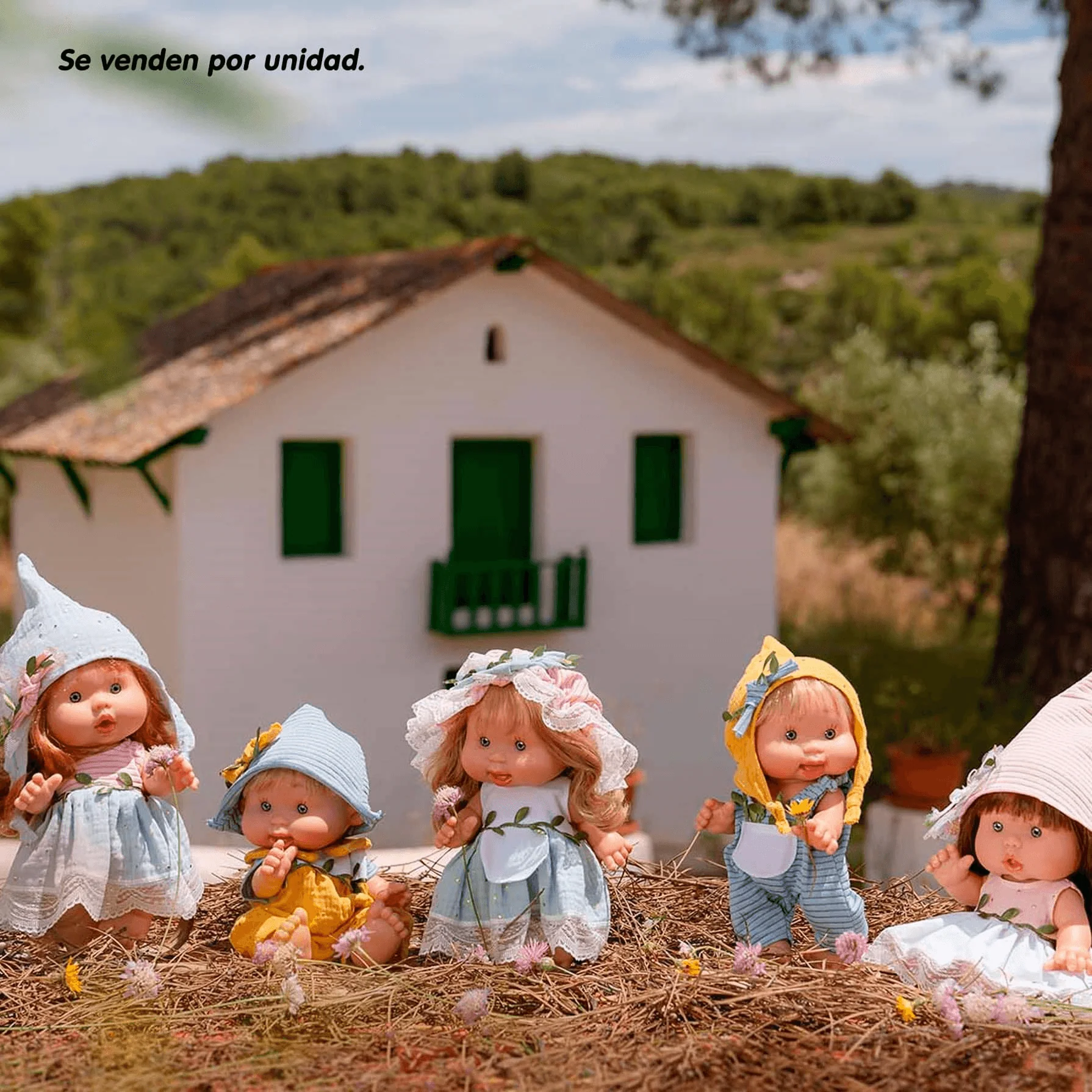 Miniatura 1