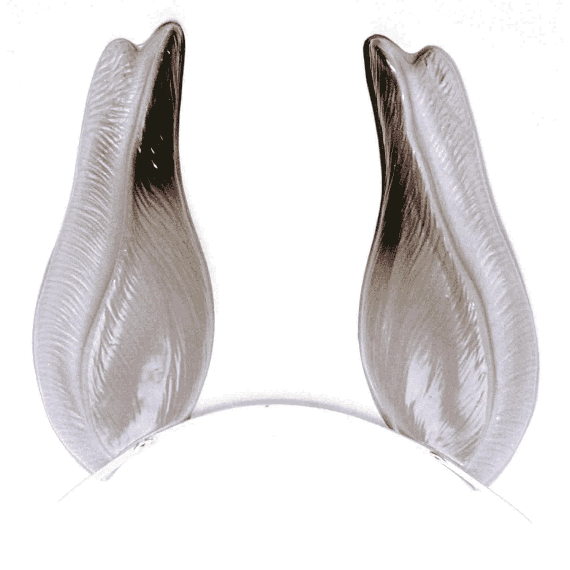 Orejas Asno PVC Complemento Disfraz