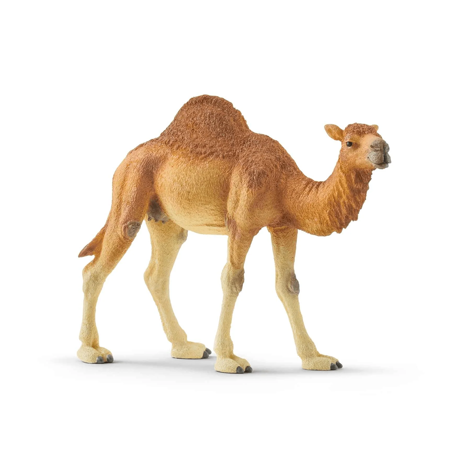 Schleich Figura Dromedario