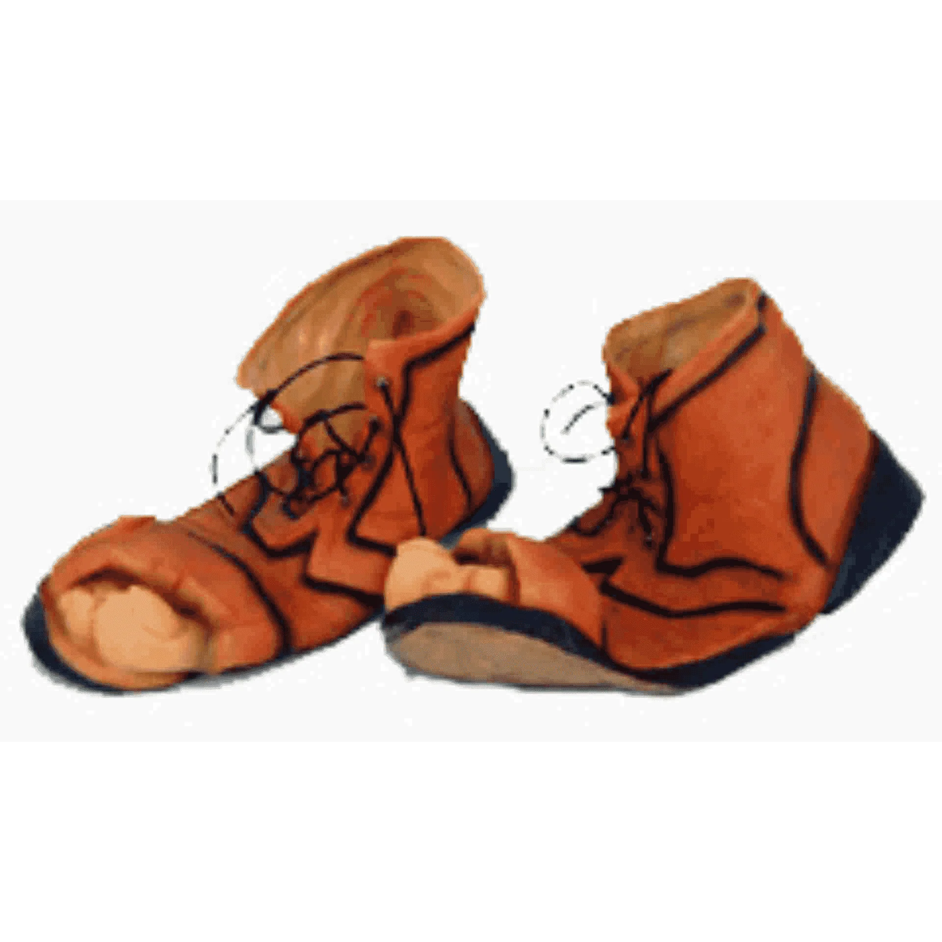 Zapatos Dedos Asoma